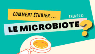 Comment étudier le microbiote ?