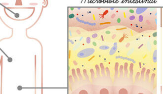 Corps humain et microbien, à la découverte de leurs interactions